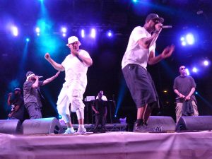 wu-tang_clan_at_budapest_park_-_2015-07-07_1